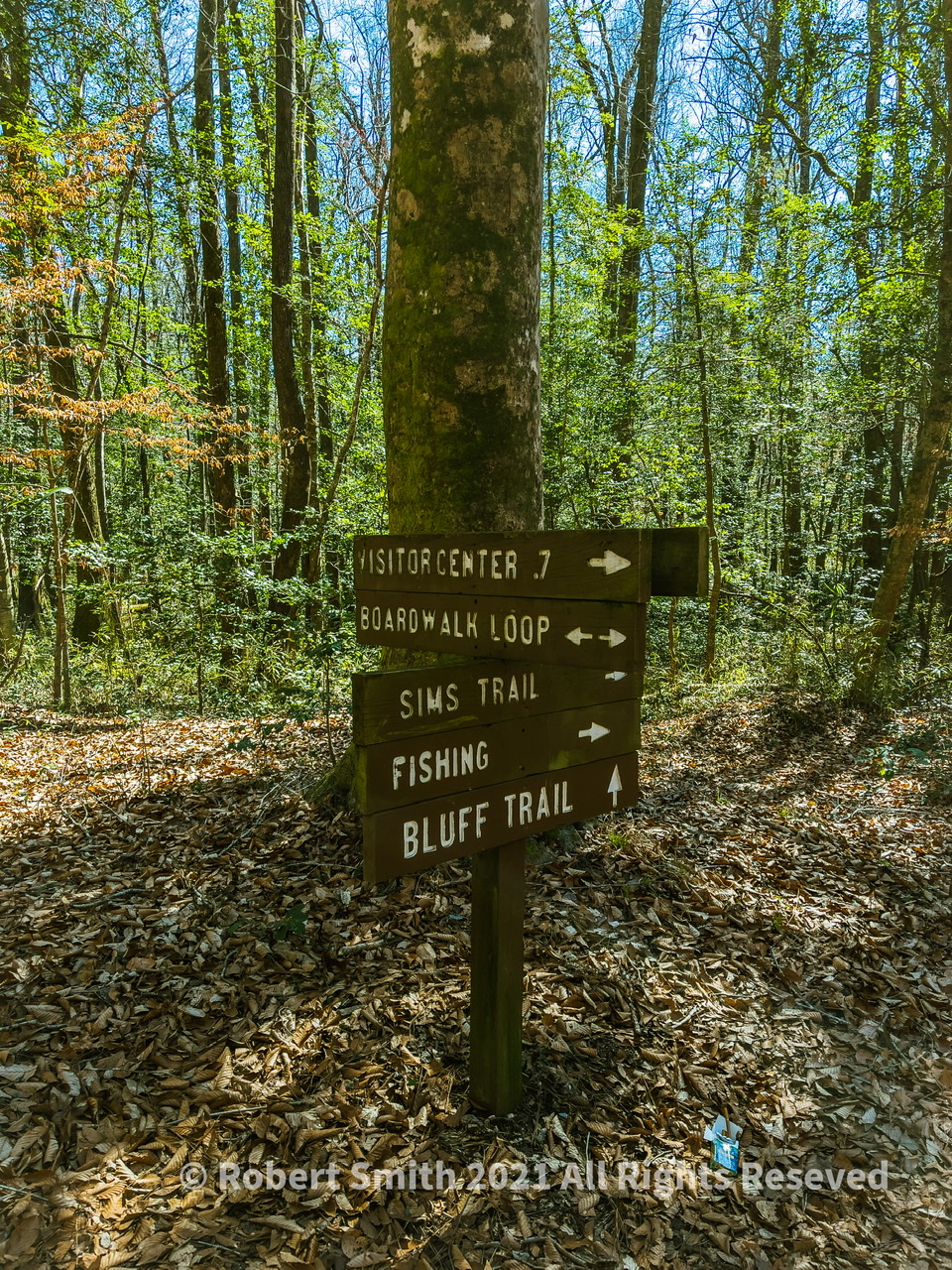Wordless Wednesday: Social Distancing at Congaree National Park