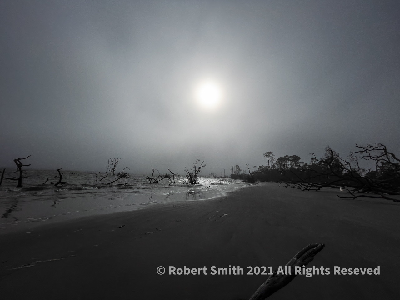 Foggy Beach Morning