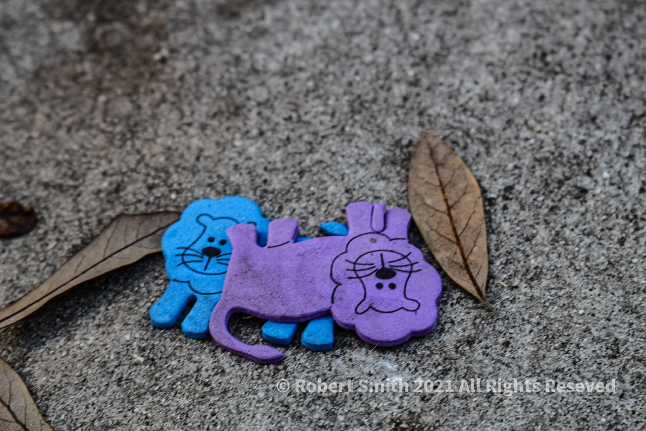 Wordless Wednesday: What’s Your Sign? Leo!