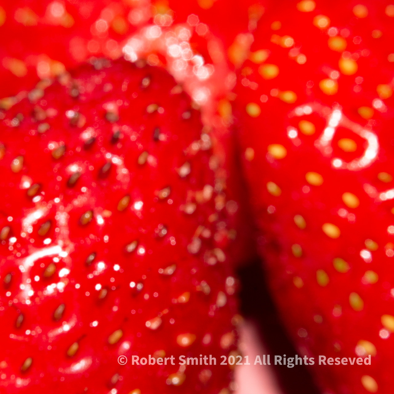 Bright Berry
