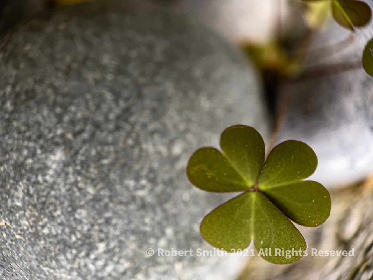 The Moment Macro: Clover