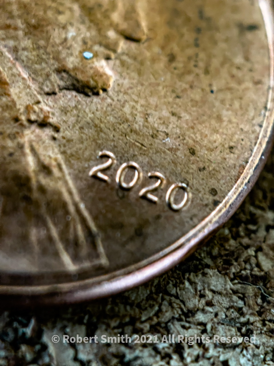 The Moment Macro: Coin on Cork
