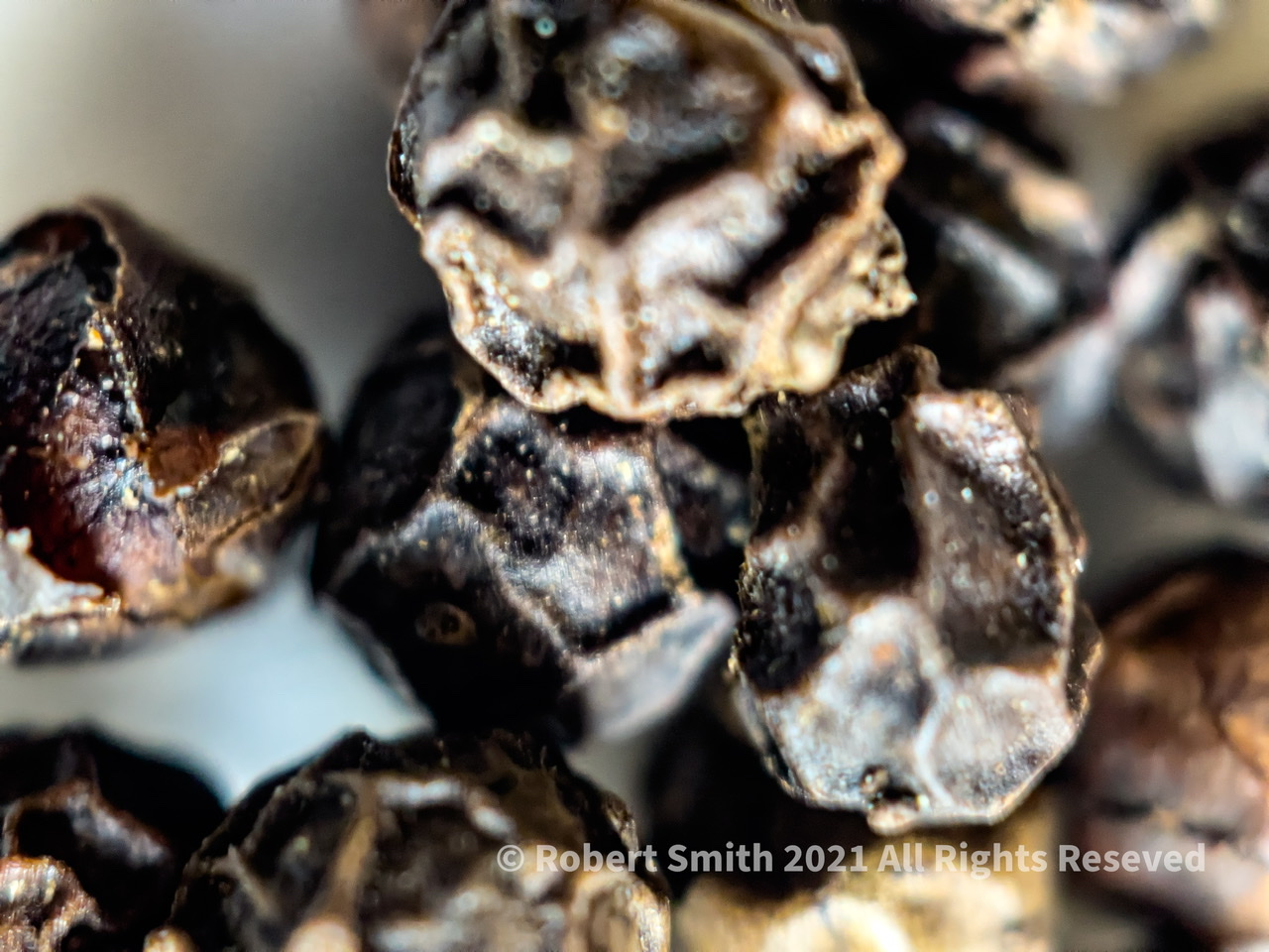 The Moment Macro: Black Peppercorns
