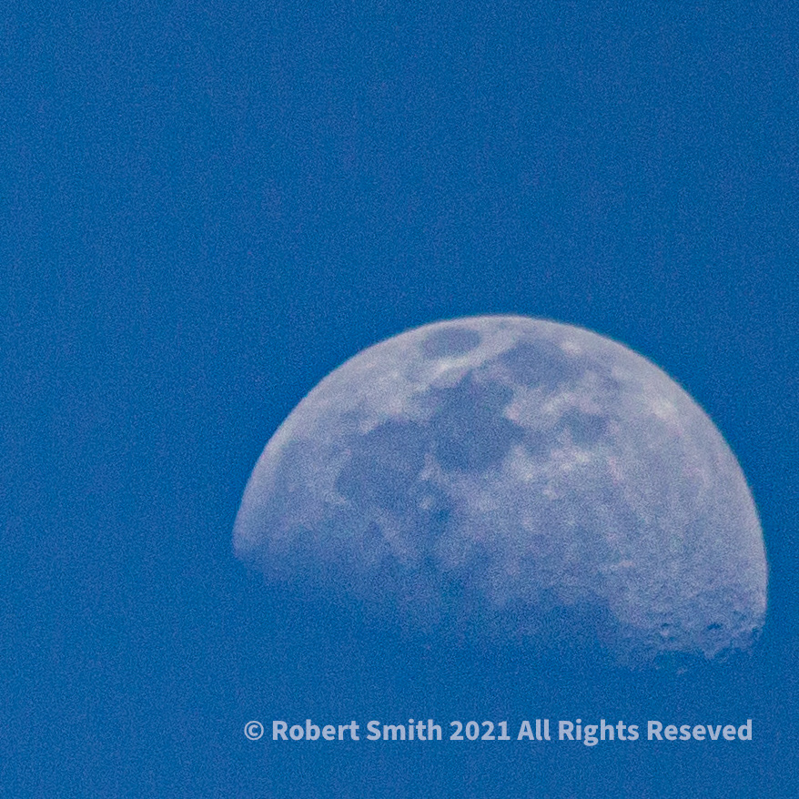Bright Moon Brother Moon