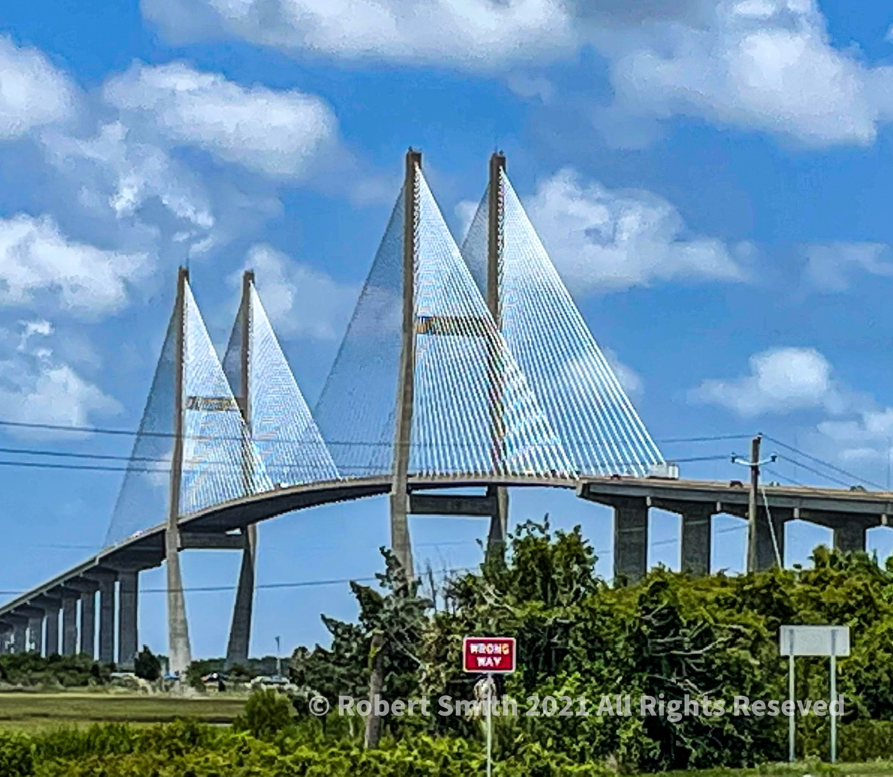 Crossing Bridges 8: The Sidney Lanier Bridge
