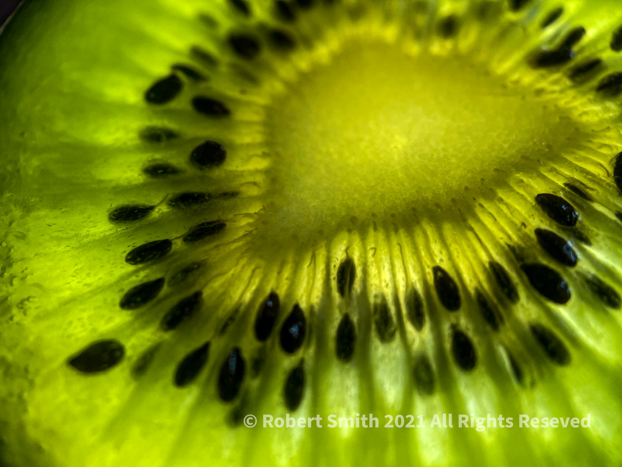 The Moment Macro: Kiwi