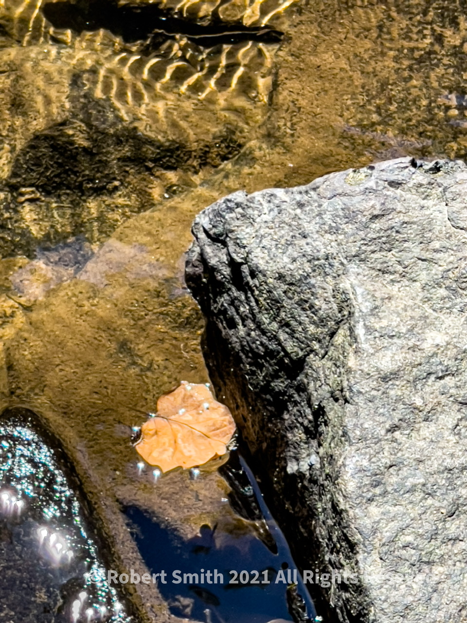 Wordless Wednesday: Adrift, Floating Near Cherokee Falls