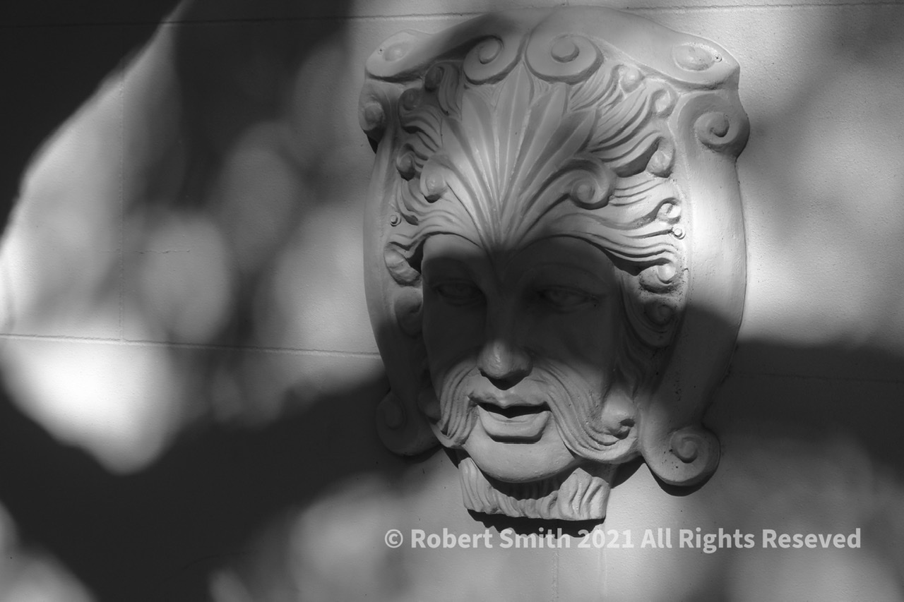 Cees Black and White Photo Challenge: Let’s Face it
