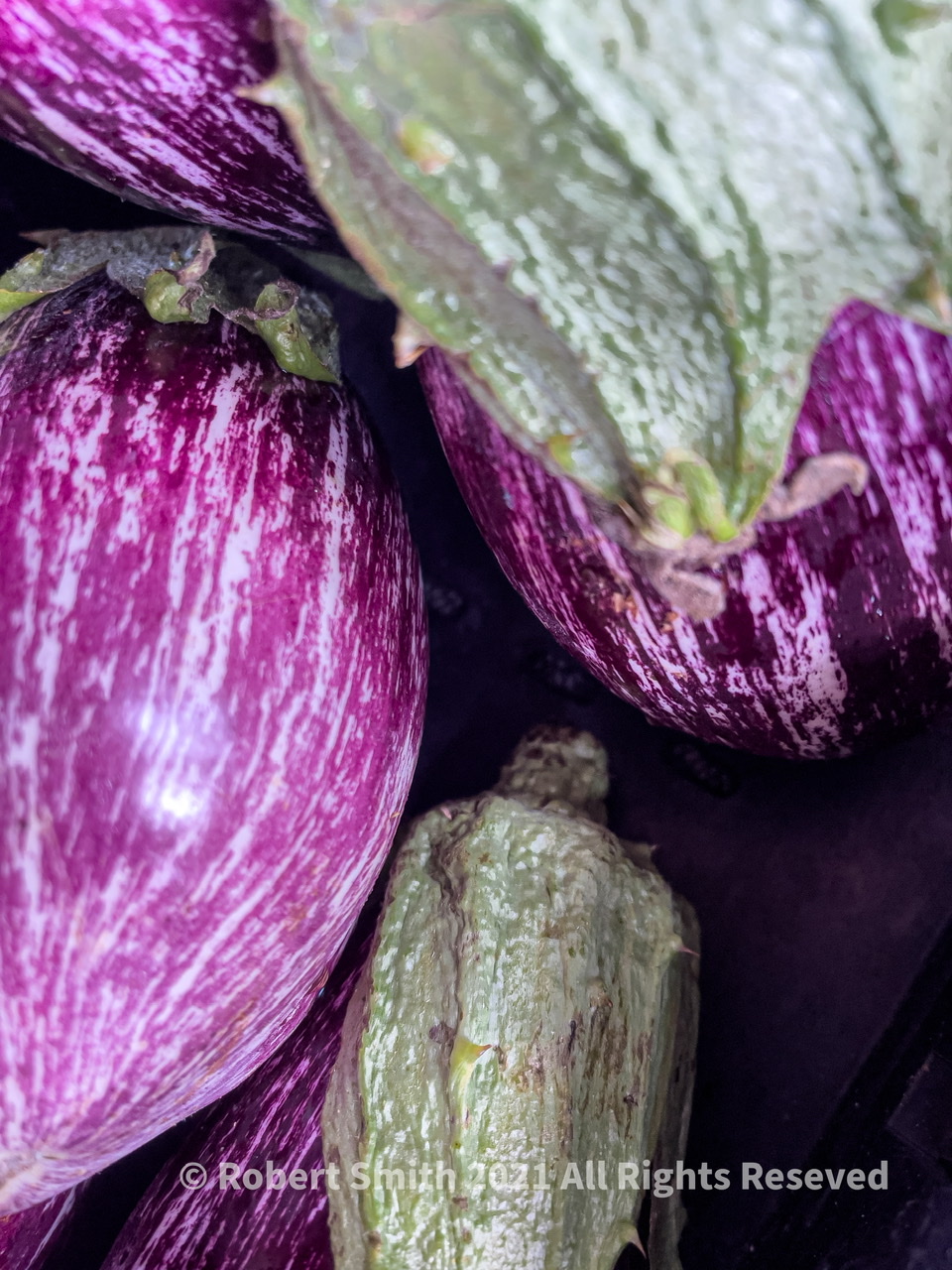 Eggplant at The Farmers Market