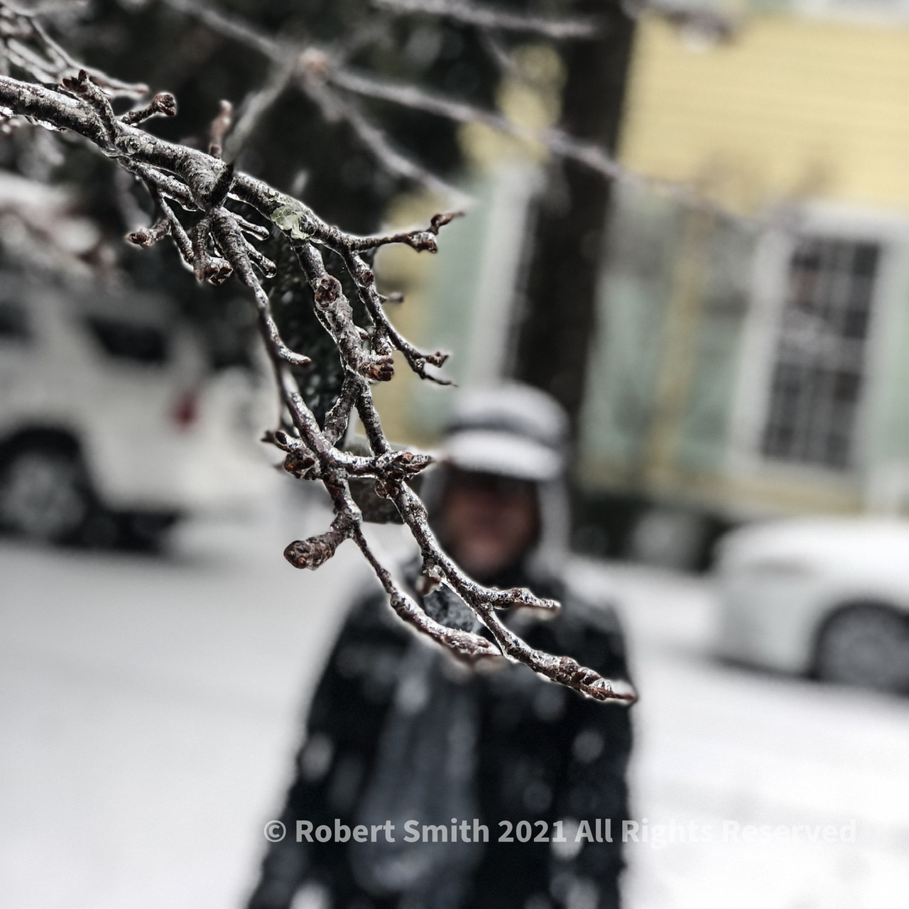 Winter is not Kind to Barren Branches