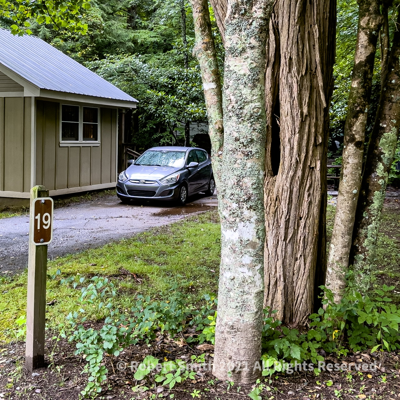 Cabin 19 is Surrounded by  Trees
