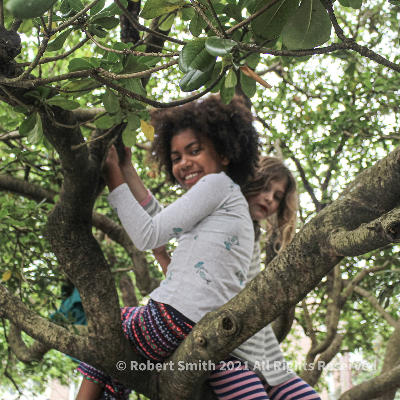 Yes! Girls Love Climbing Trees!