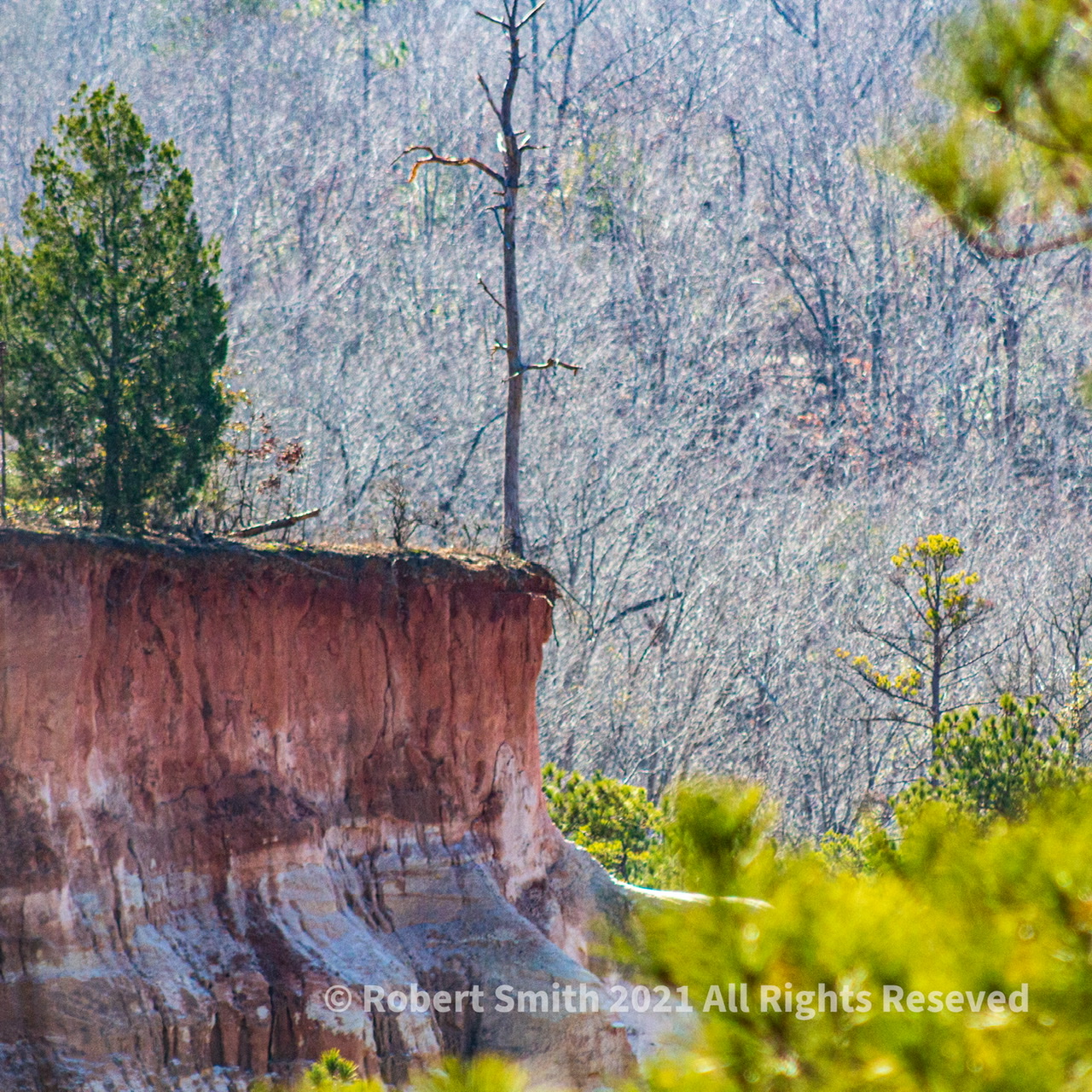 On the Edge