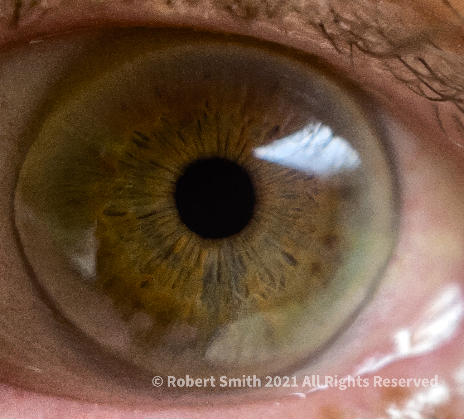 The Moment Macro: Neal’s Eye