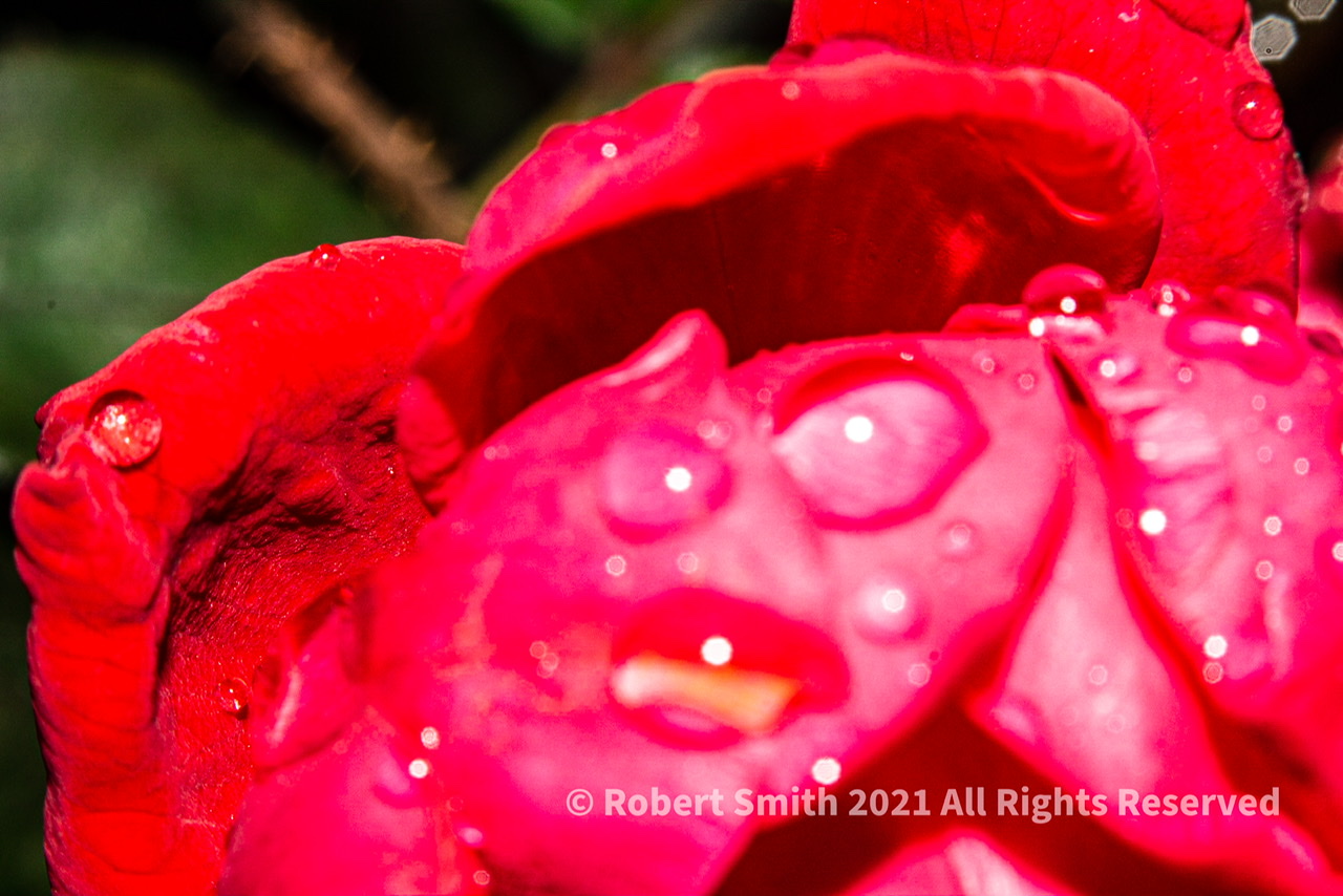 Take a look! Red is Everywhere!