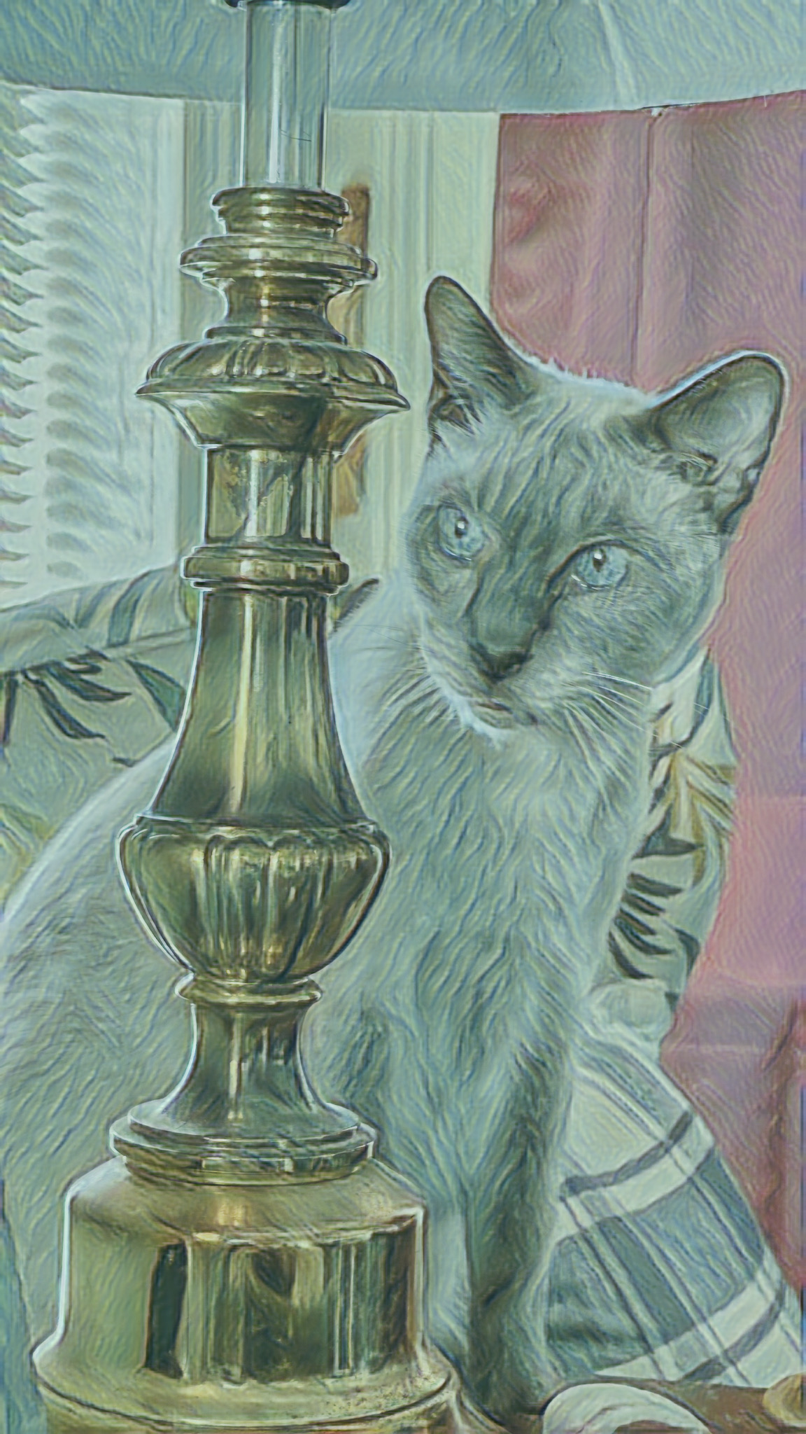 Photography: Photoshop Artful, Morning Kitty