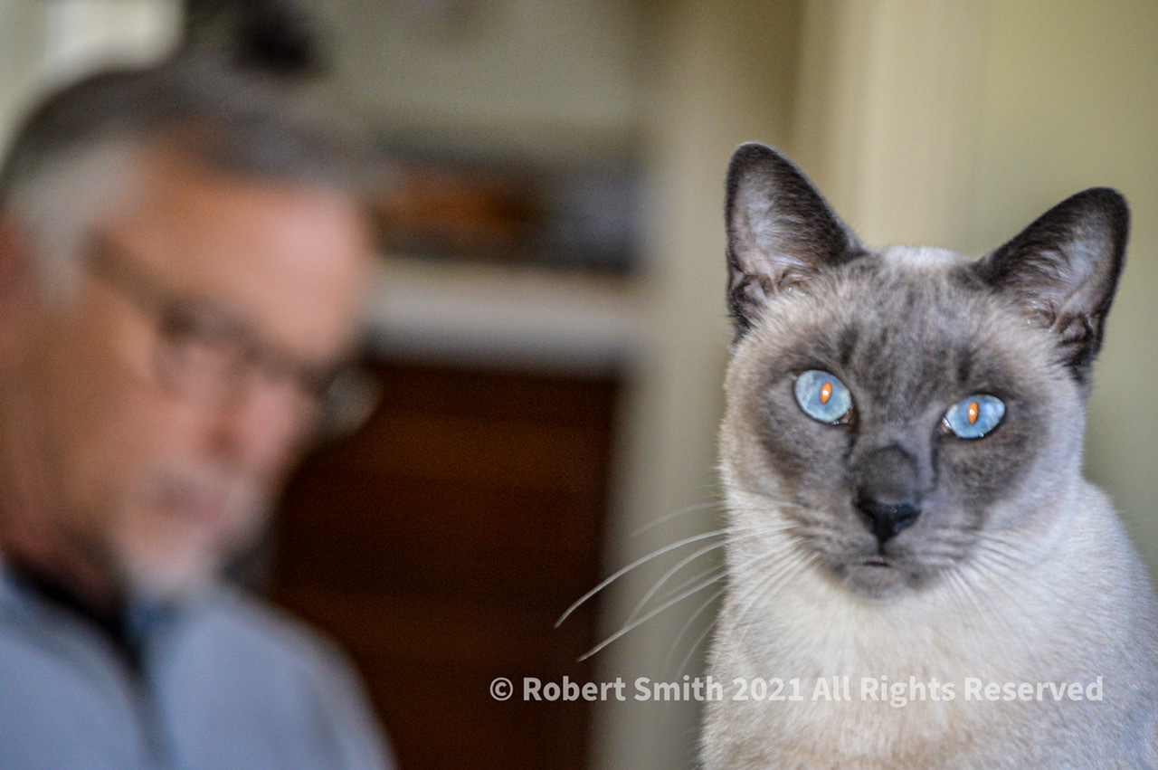 A Photo A Week Challenge: Who Do You Love?