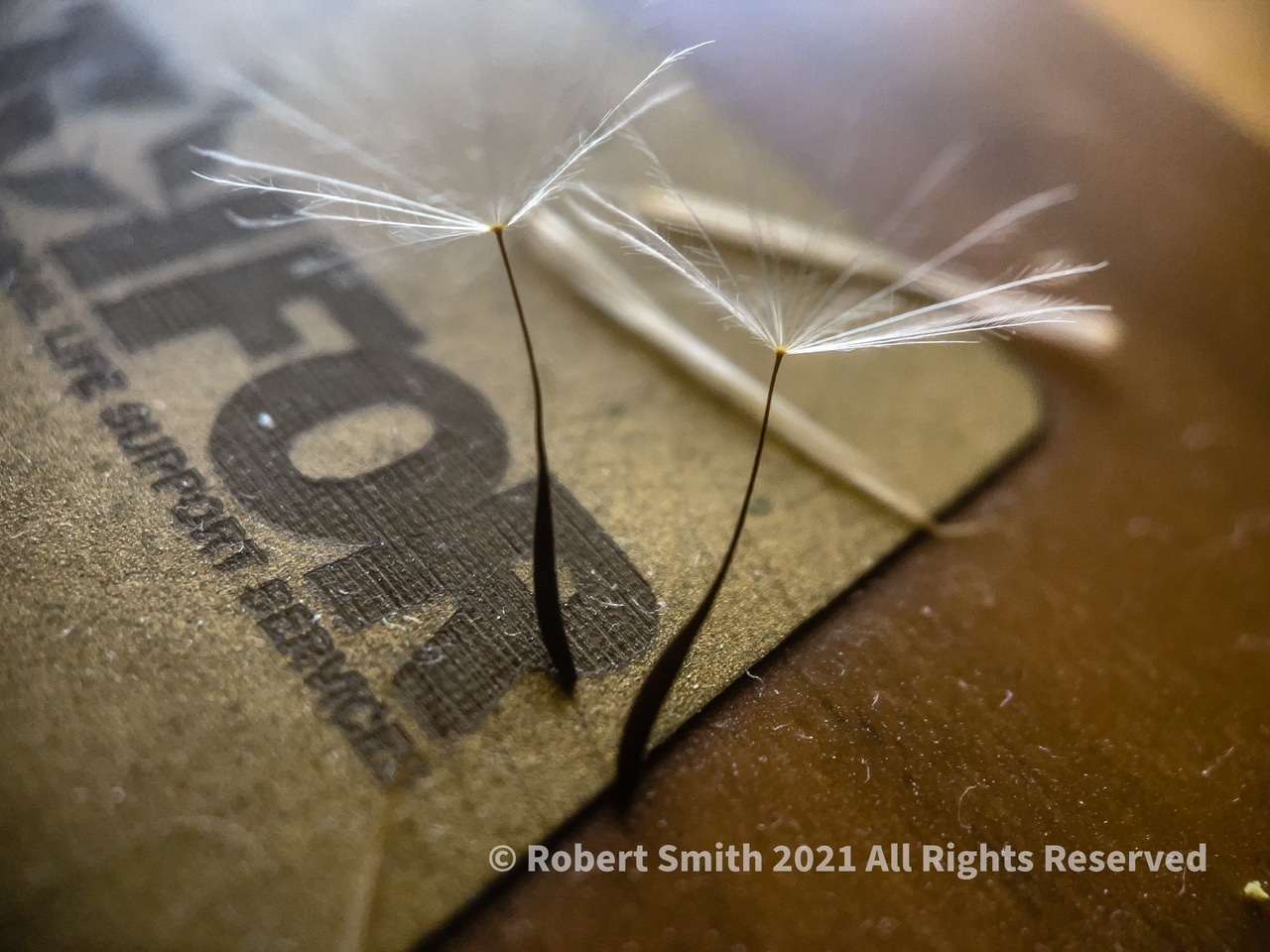The Moment Macro: No Breeze to Carry Them