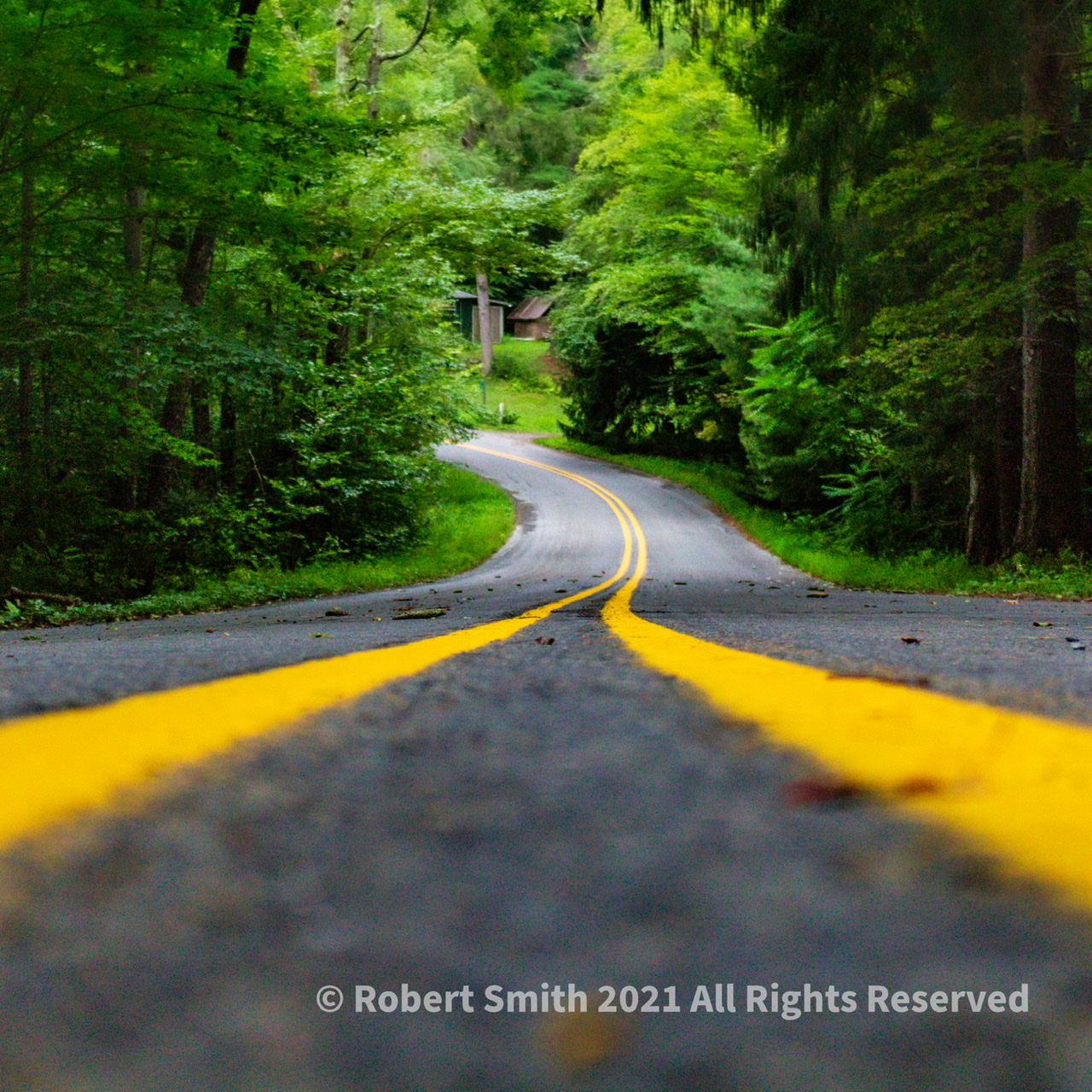 Past the Curve in the Road