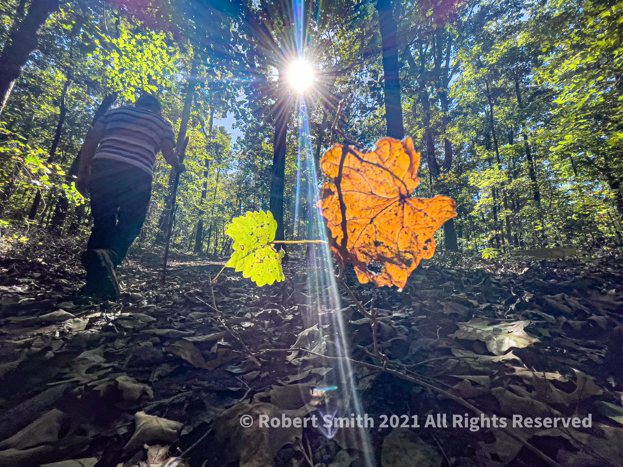 Wordless Wednesday: Social Distancing at What was Hart State Park