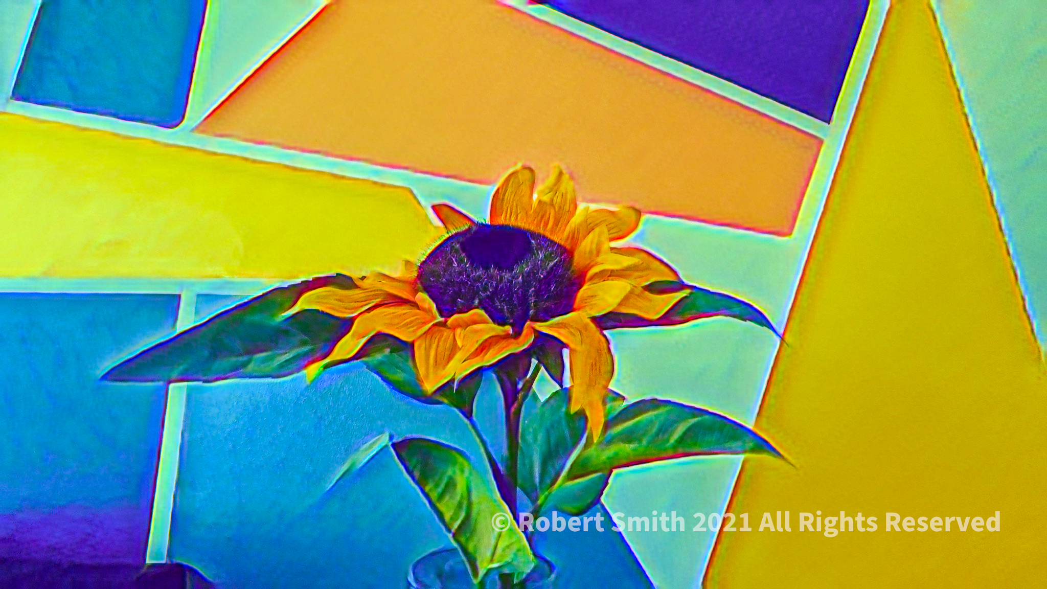 Silent Sunday: Sunflower a la Abstract