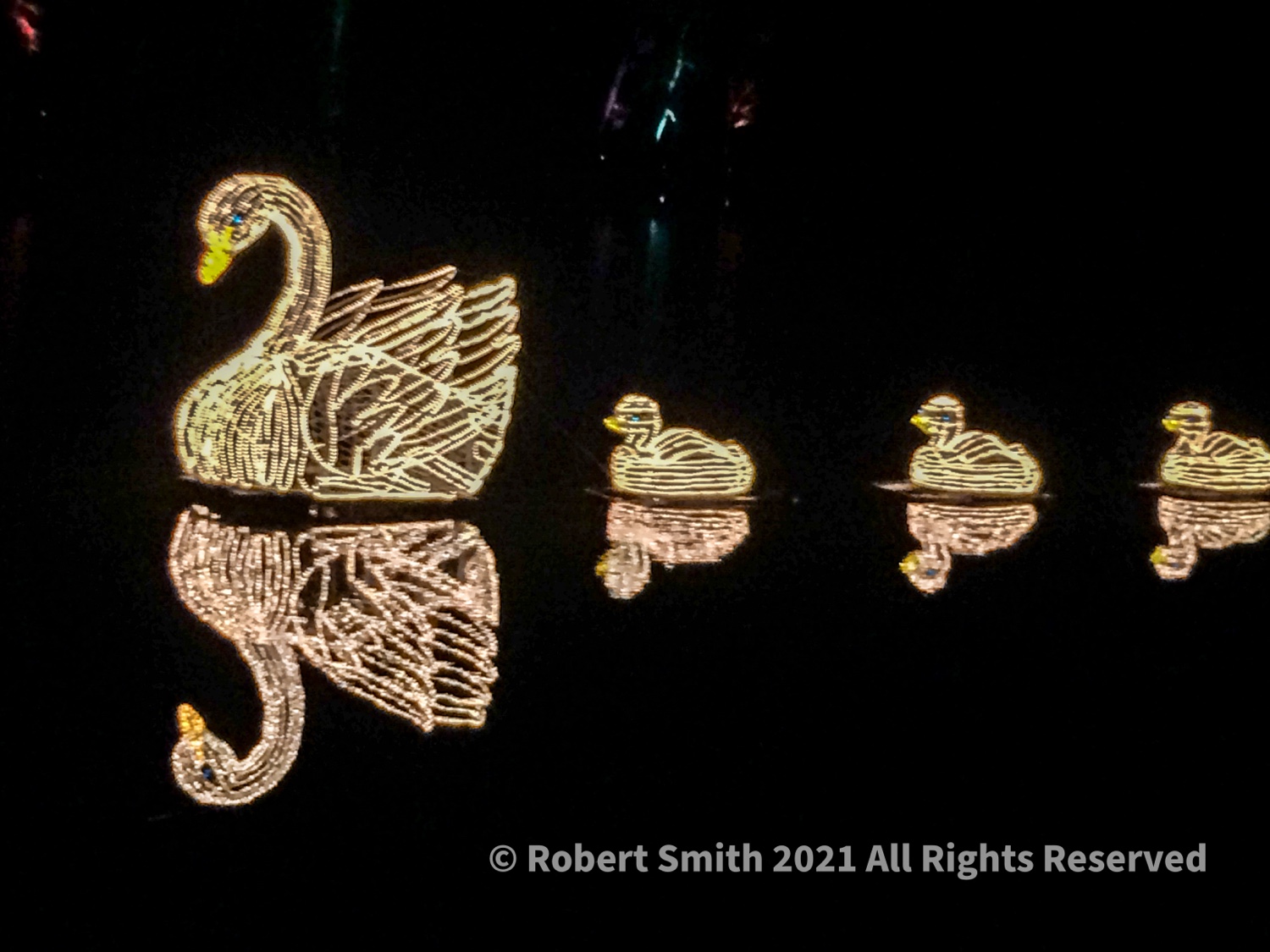 Holiday Lights, Christmas Photo Challenge #3