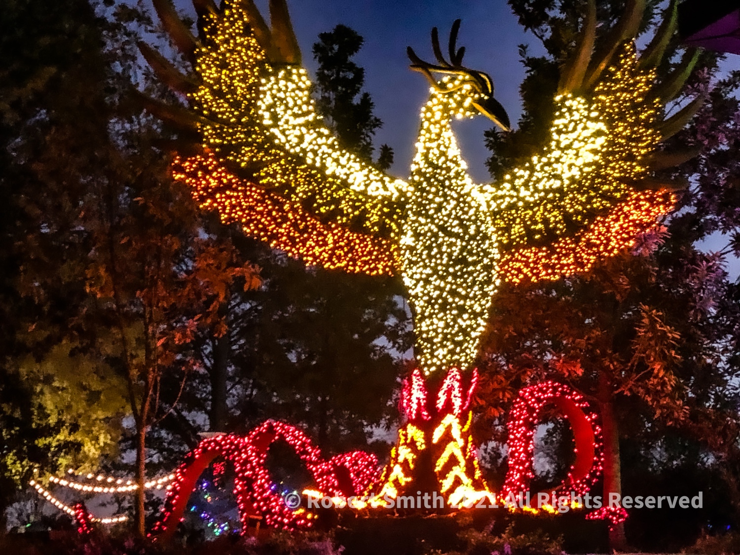 Christmas in Lights, Christmas Photo Challenge #25