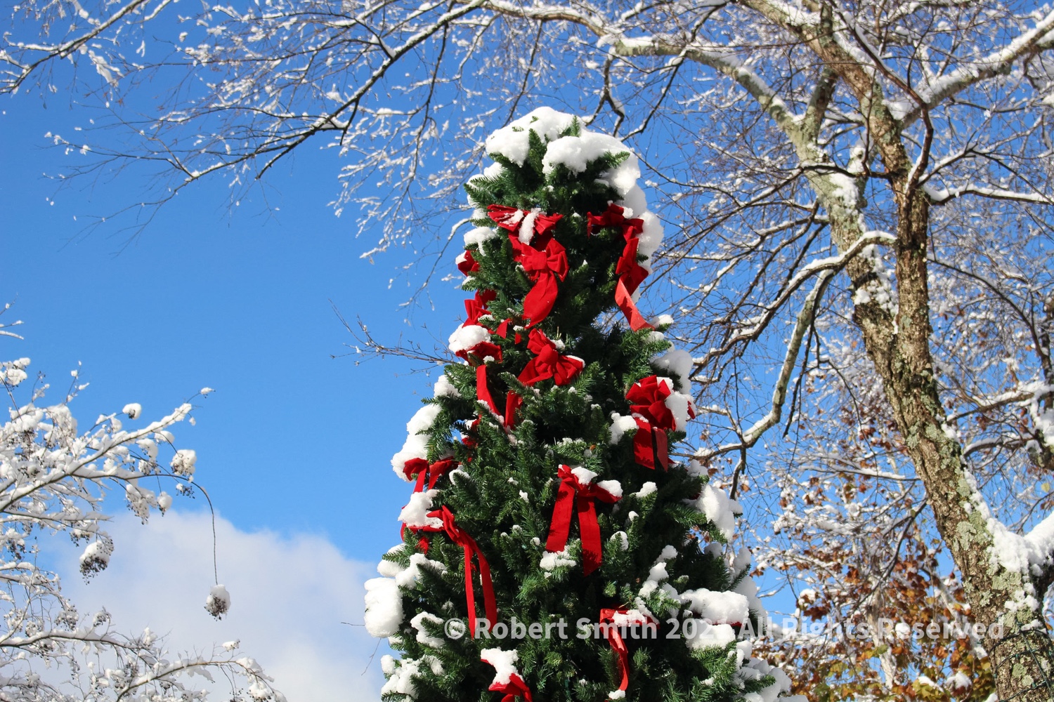 Having Fun in the Snow, Christmas Photo Challenge #21