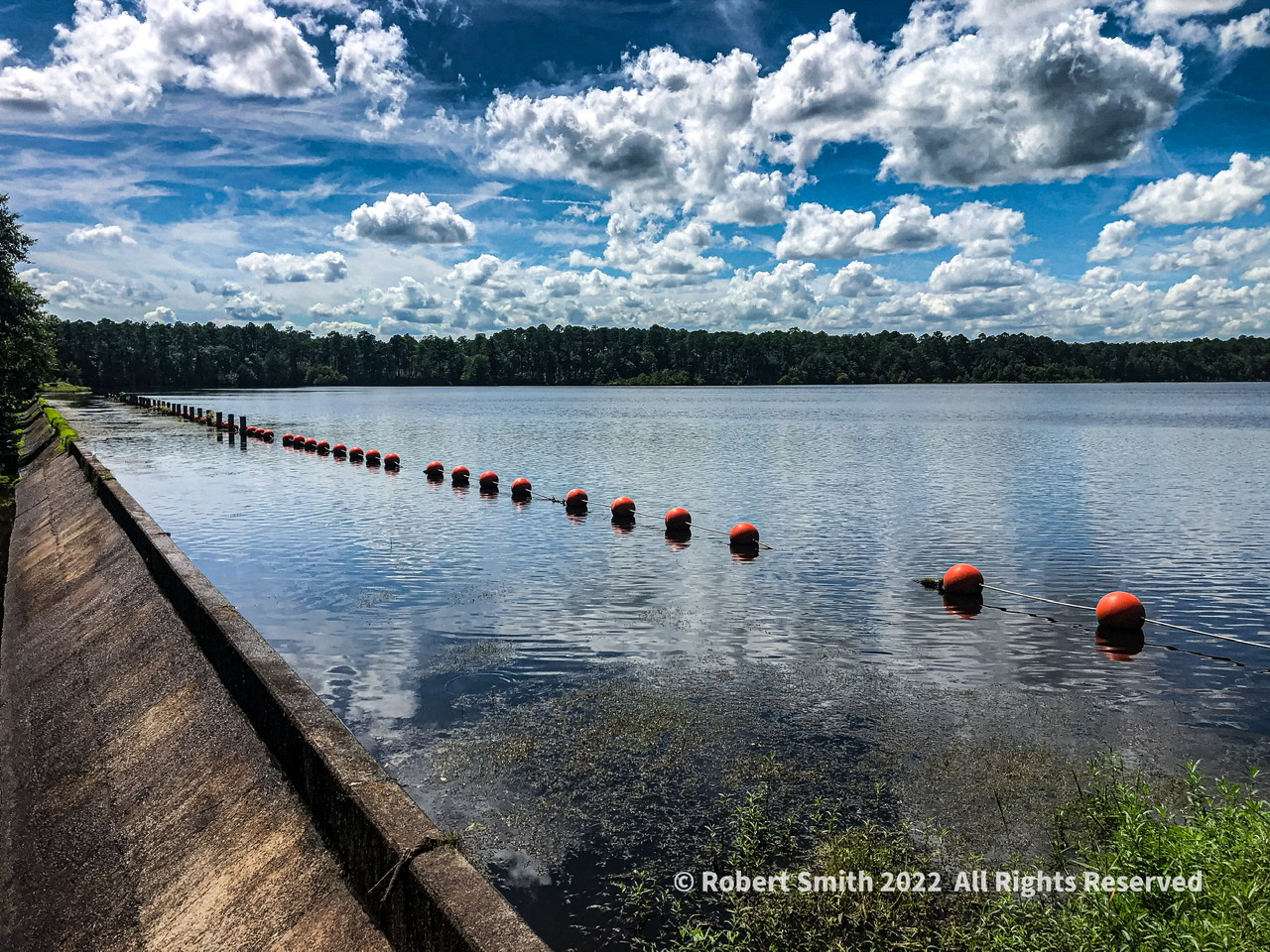 Wordless Wednesday: Social Distancing at Little Ocmulgee State Park