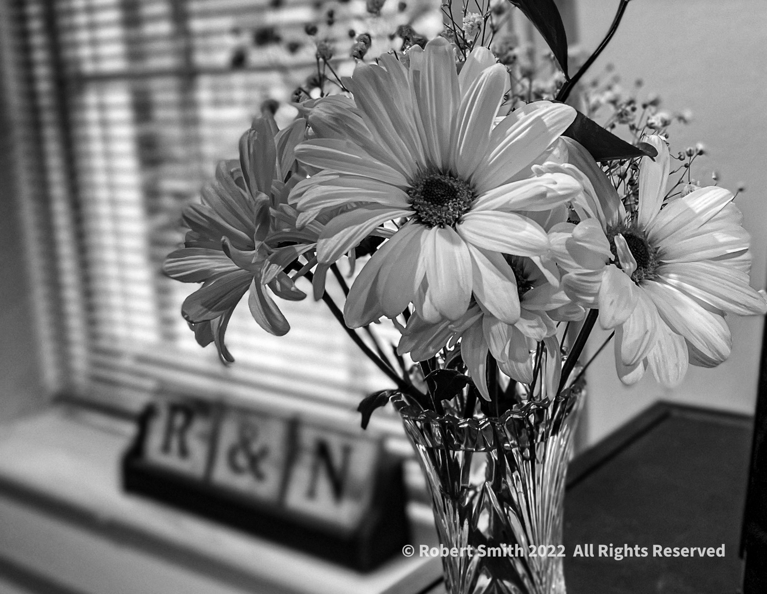 Flowers in Monochrome #1