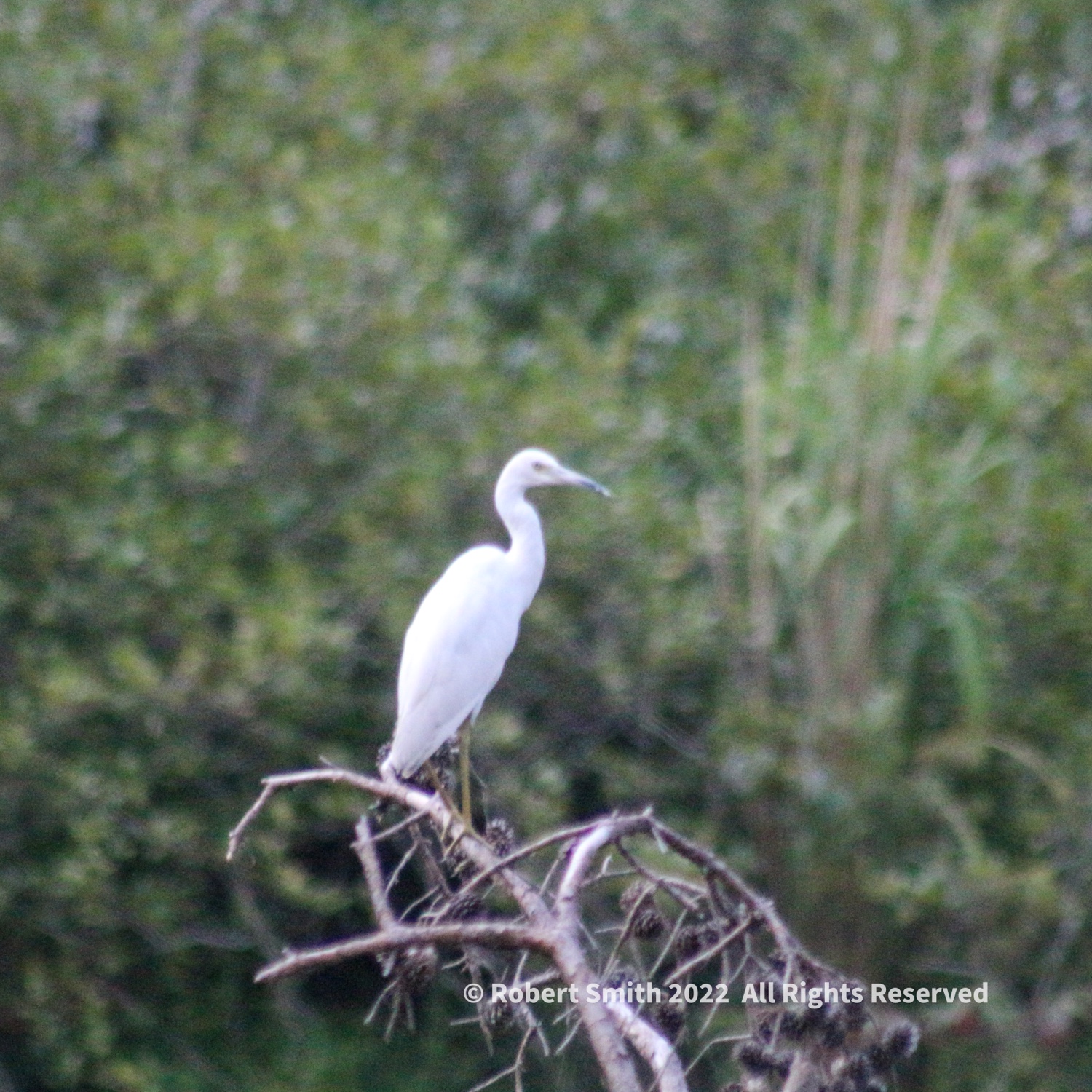 Social Distancing at A.H. State Park