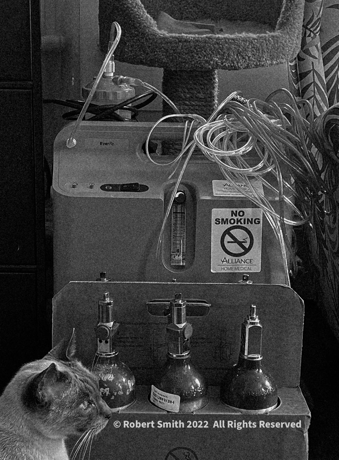 Covid Omicron in Monochrome #9