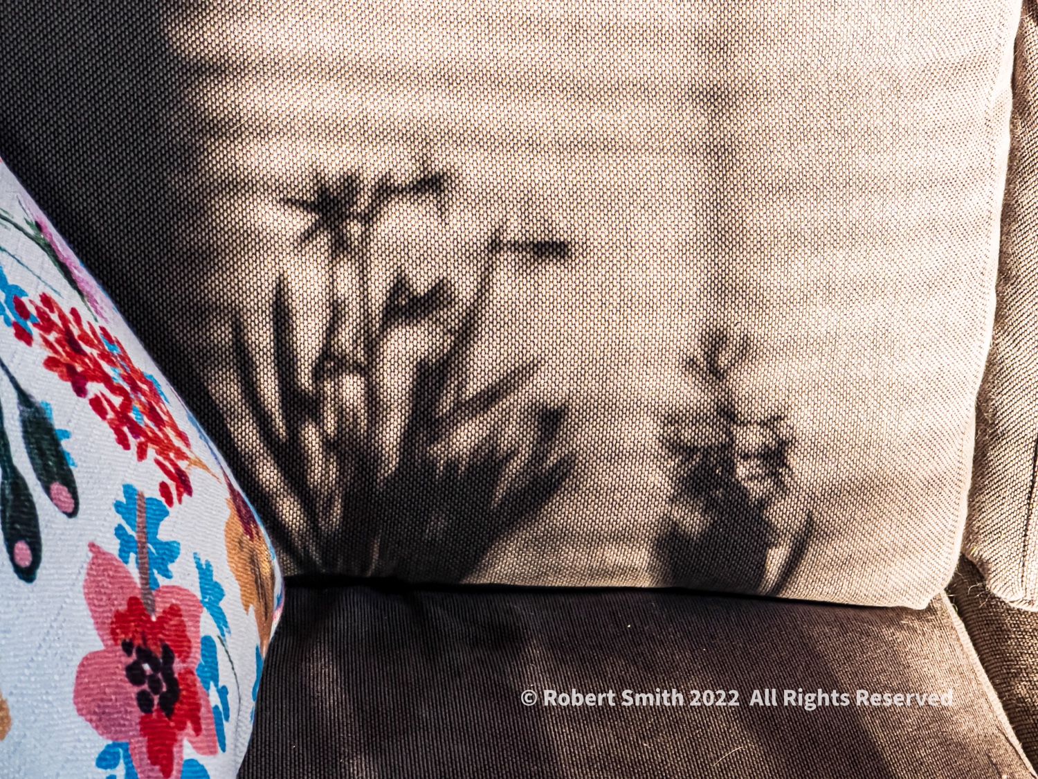 Daffodils and Hyacinth, Color and Monochrome