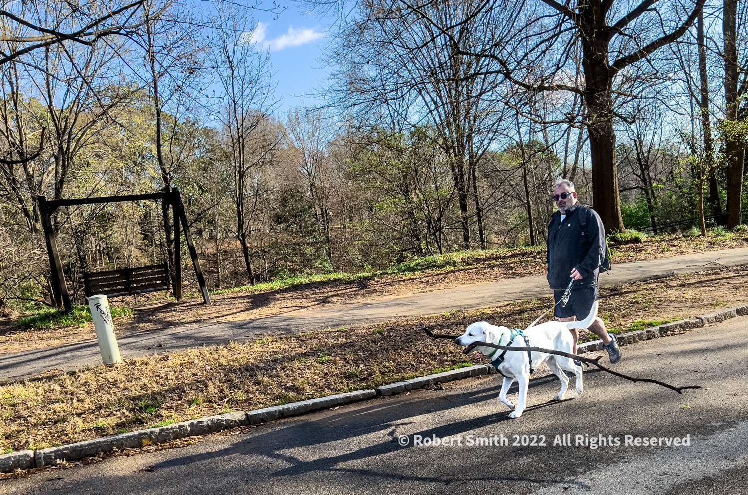 Wordless Wednesday: Big Stick, Happy Dog