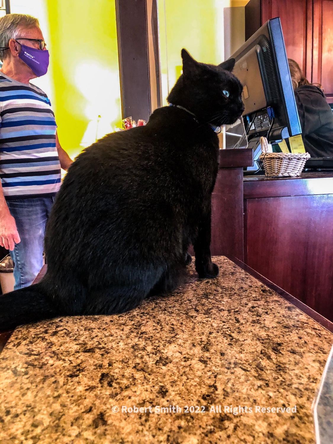 Hello Kitty: Irma, State Park Kitty