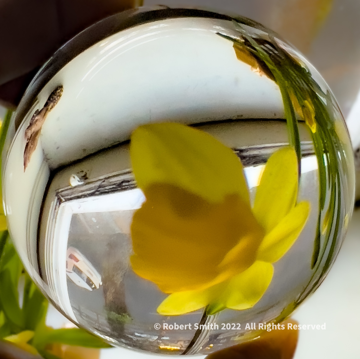 Photography: Lens Ball, Window and Daffodils