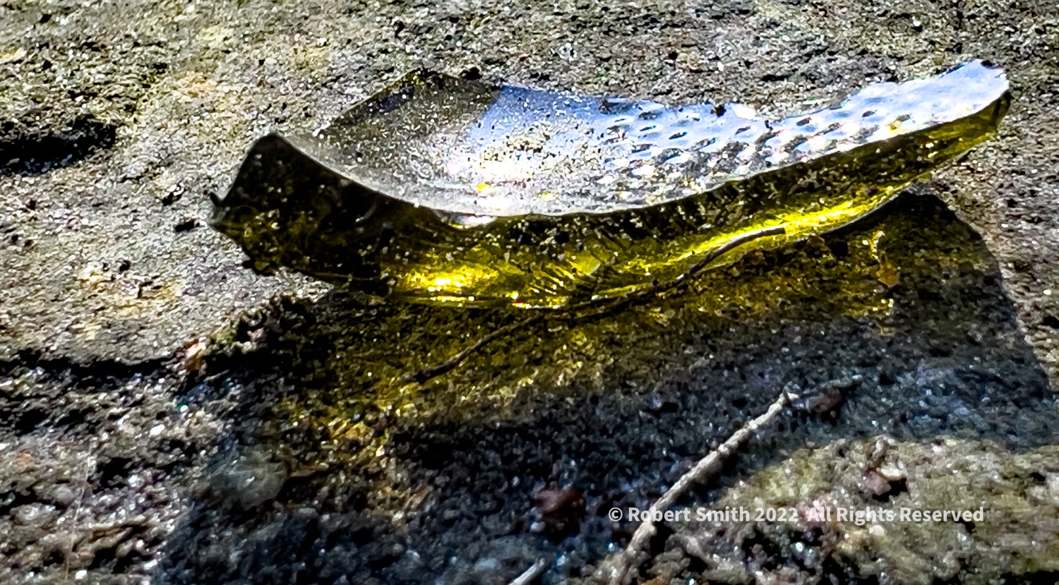 Cellpic Sunday: Beauty in Broken Glass