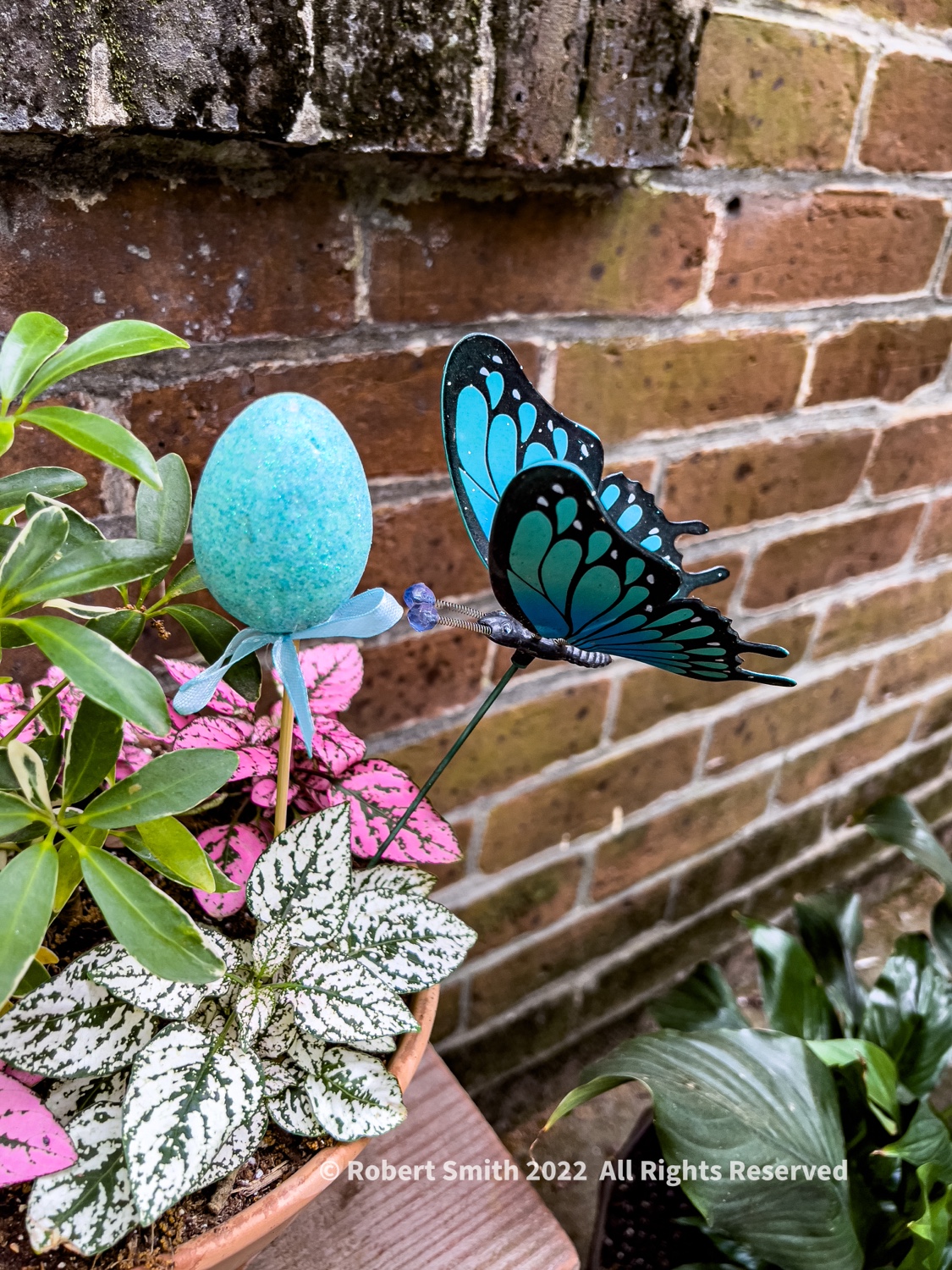 Seeing Easter In My Urban Garden