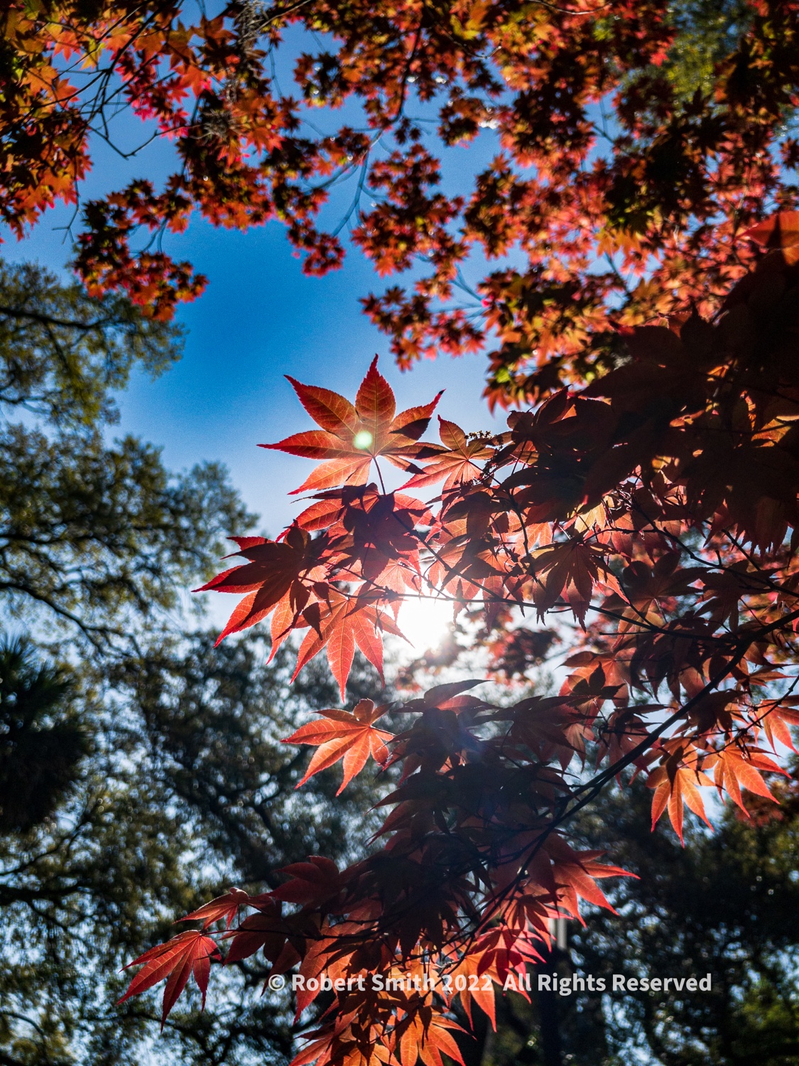 “Let There Be Peace on Earth” #3 — NealEnJoy