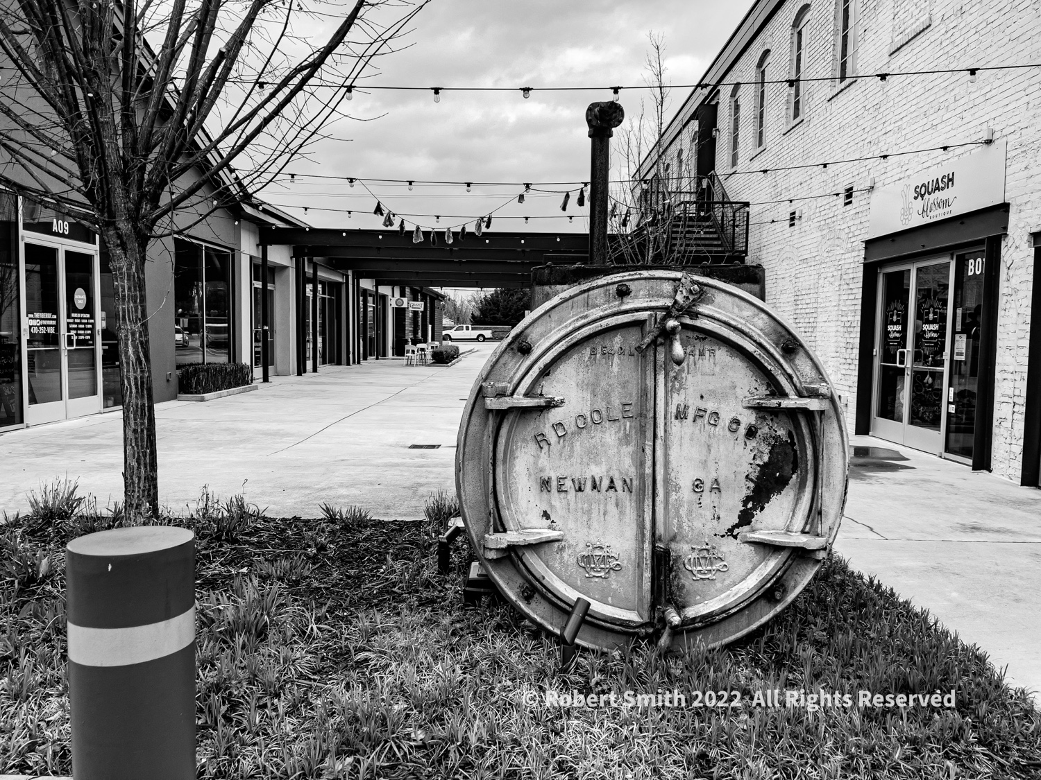 Lens Artists Photo Challenge 199: Atlanta Dairies