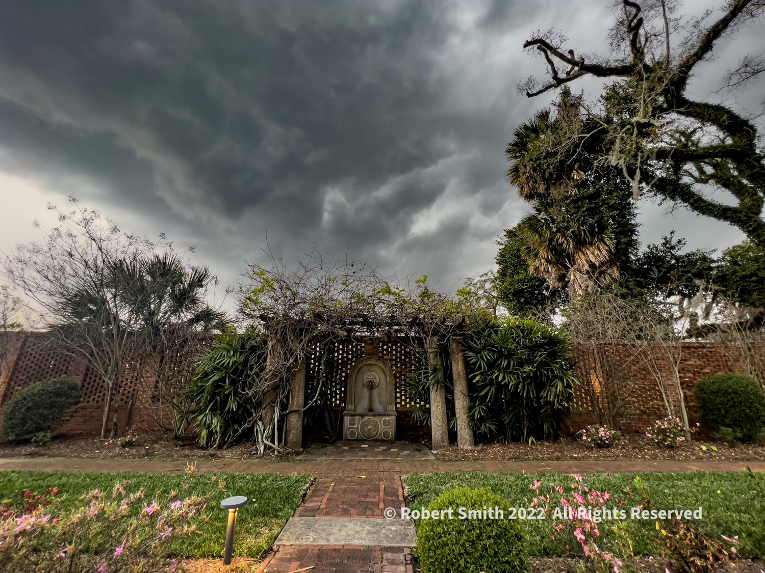 Wordless Wednesday: What of this Garden?