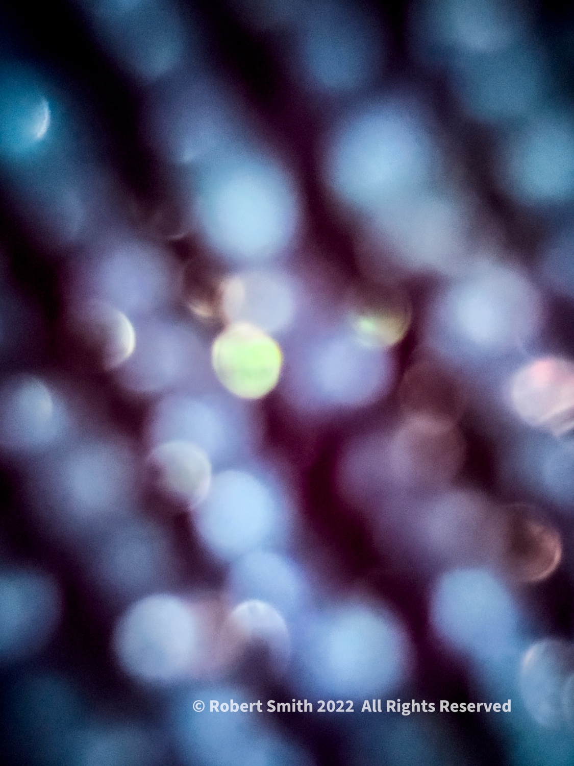 Photography: Bokeh at a Graduation