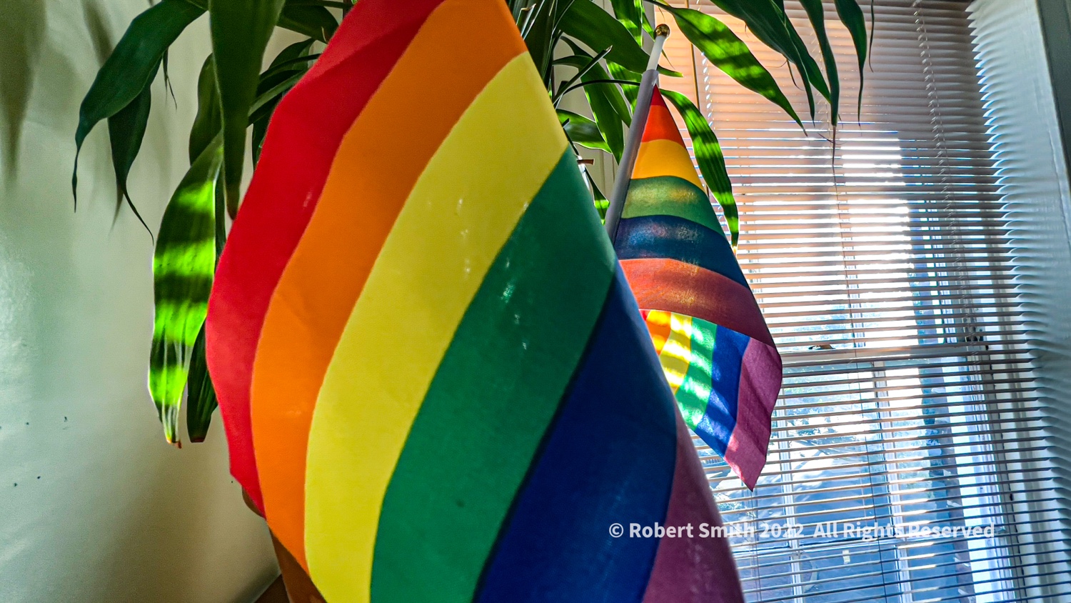 Pride and Plants: Morning Light