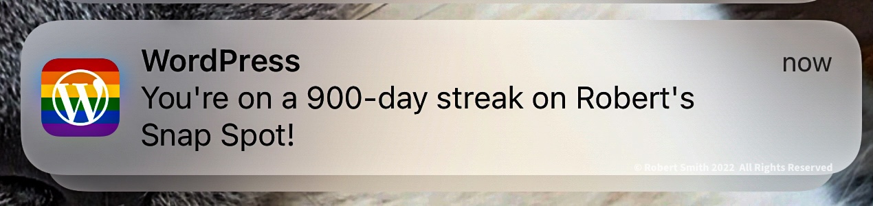 Happy 900 Days of Photoblogging
