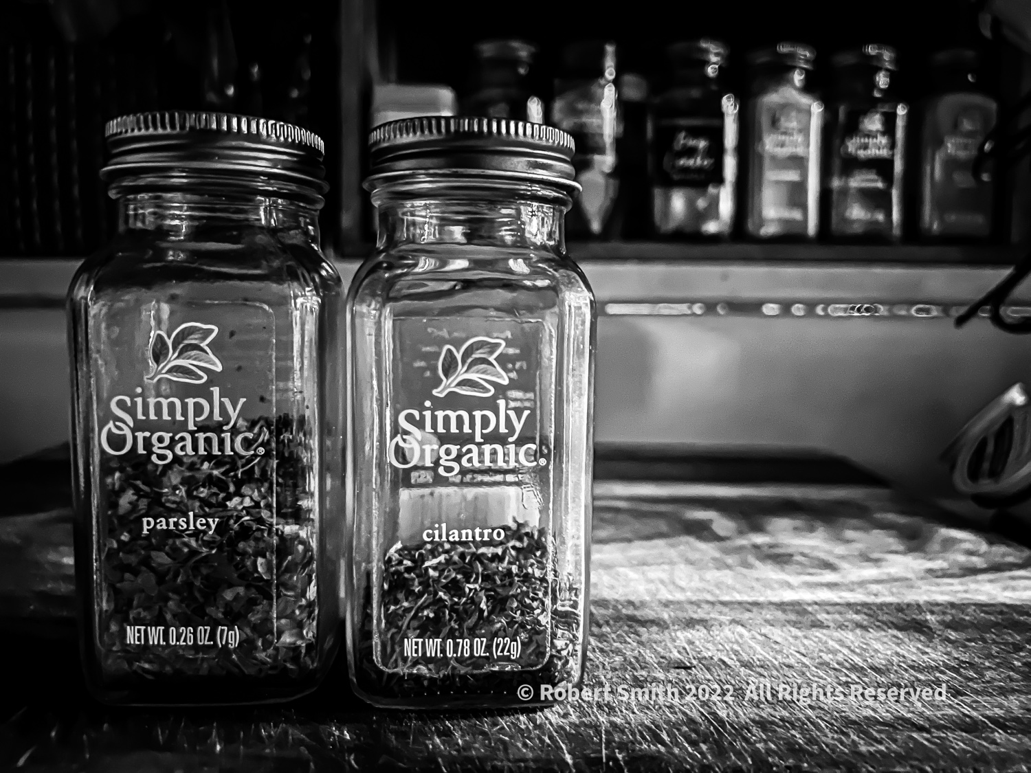 Spices in Monochrome