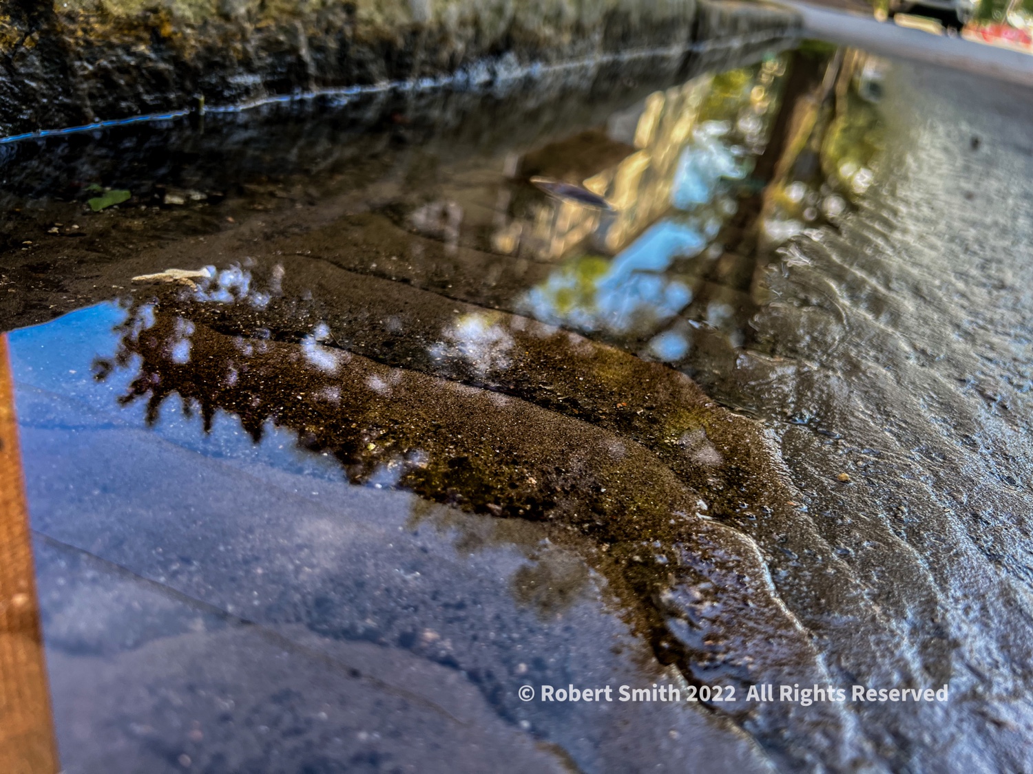 Reflection: Curb to Drain