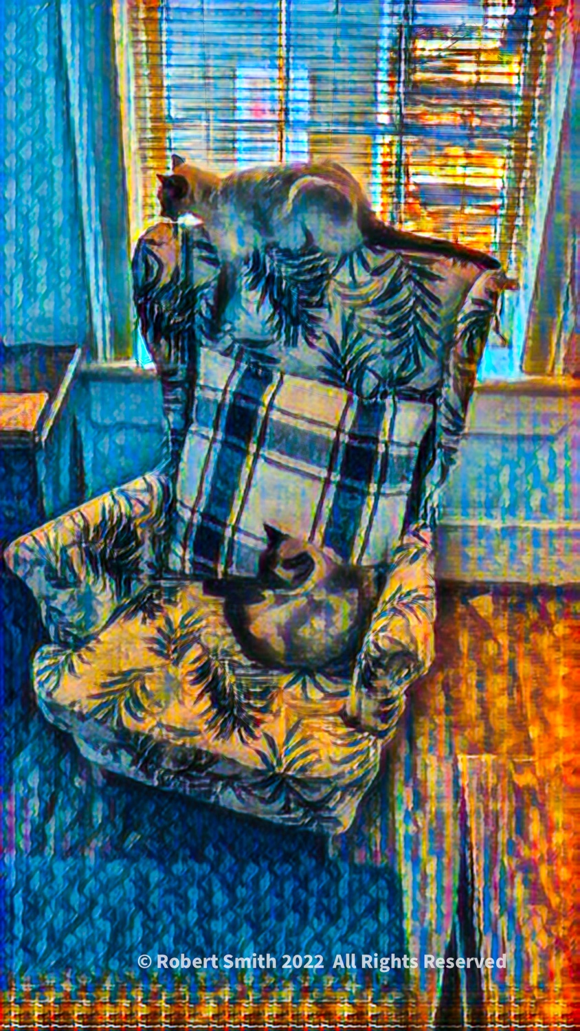 Sunday Morning Chair Life