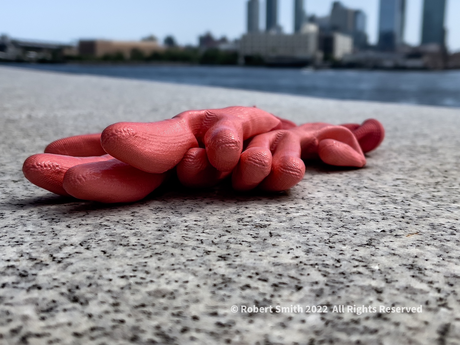 Gloves of a State Park Worker