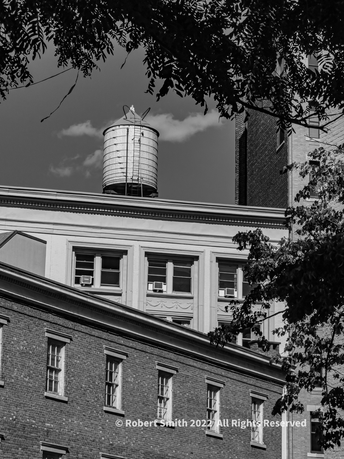 NYC Water Towers in Monochrome #5