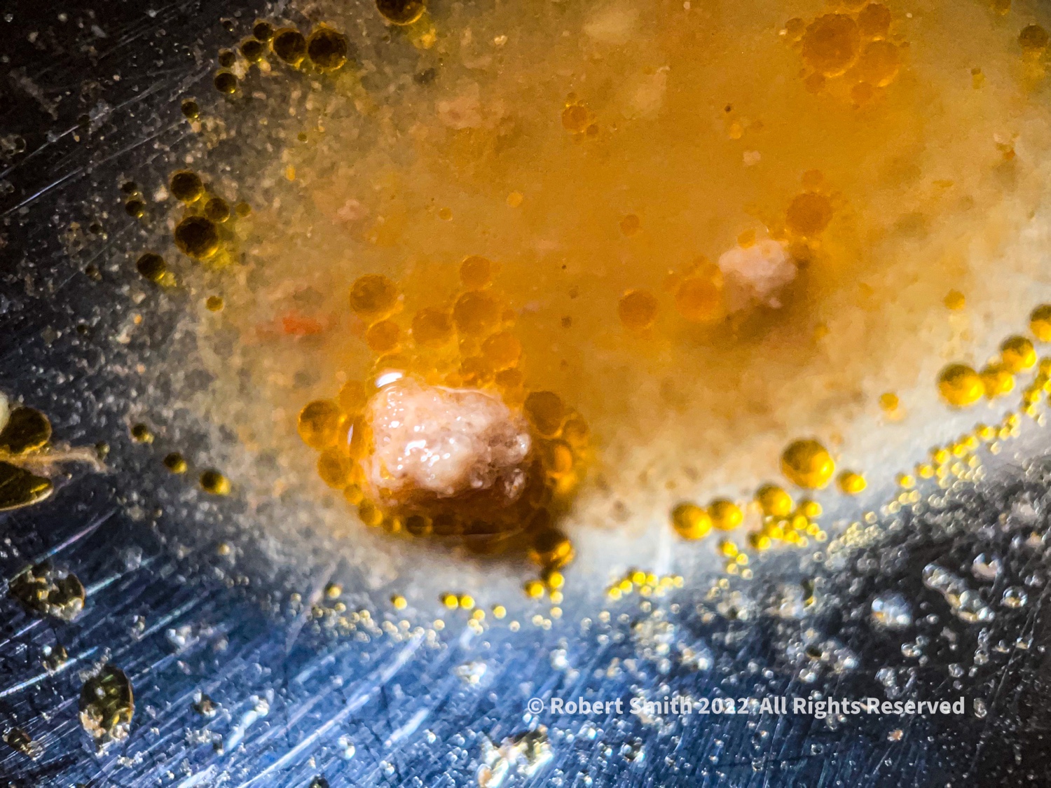 The Moment Macro: Vegetable Beef Soup Broth on Spoon #3